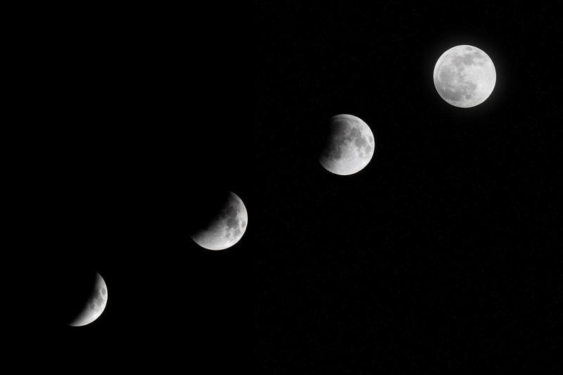 Moon Phase Delights