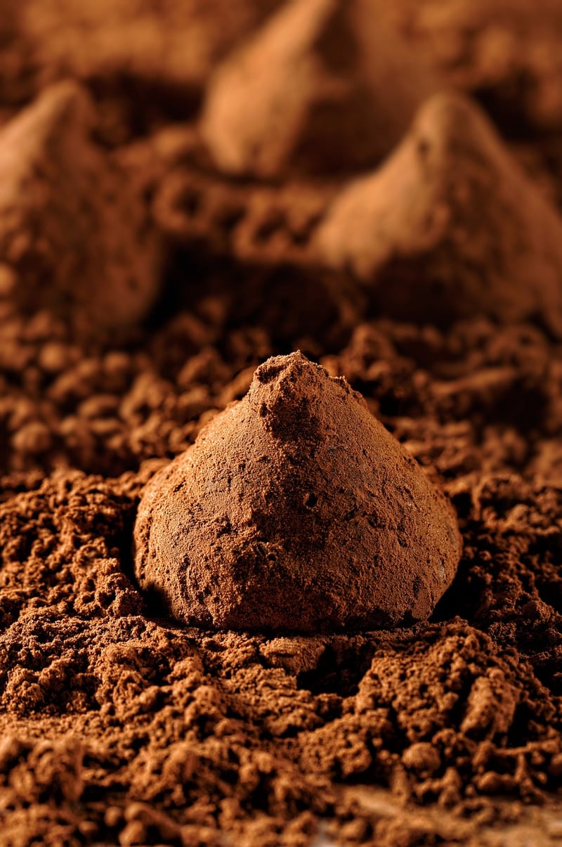 Dark Chocolate Truffles