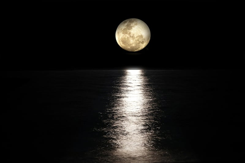 Moonlit night